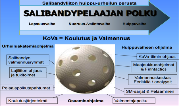 KUVA 7. Salibandypelaajan polku (Suomen Salibandyliiton huippu-urheilu strategiapäivitys 2014). 